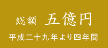 総額 五億円　平成二十九年より四年間