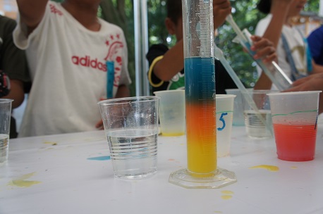 ◆化学教室では実際に実験を体験。 ※写真は塩分濃度の違いを色分けする実験