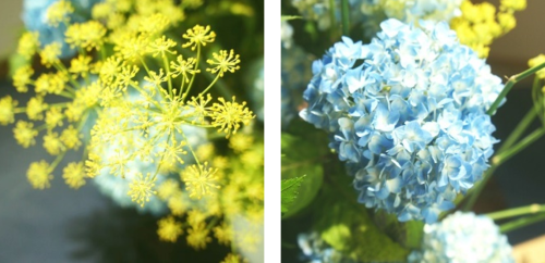 左：茴香（ういきょう）／右：紫陽花（あじさい）